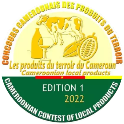 concours-egypte